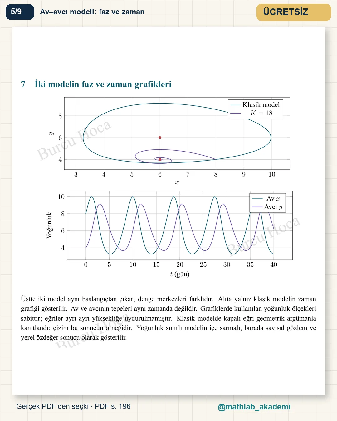 Matematiksel Modelleme ve Hesaplamalı Matematik kitabından örnek sayfa 5
